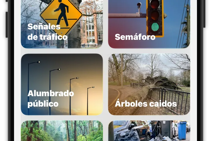 Categorías