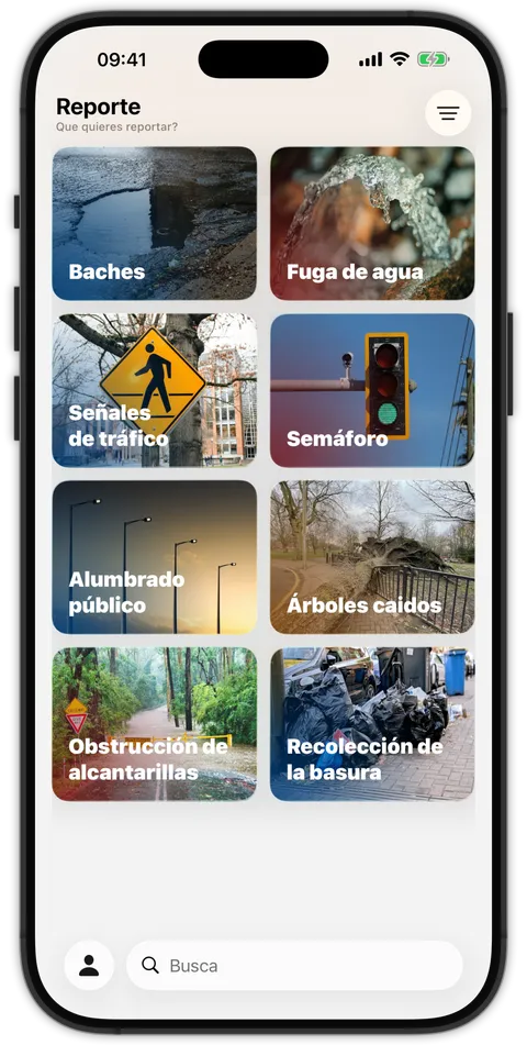 Pantalla para elegir la categoría del reporte