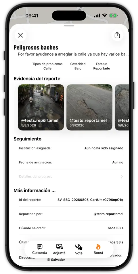 Detalle de un reporte con evidencia e institución asignada
